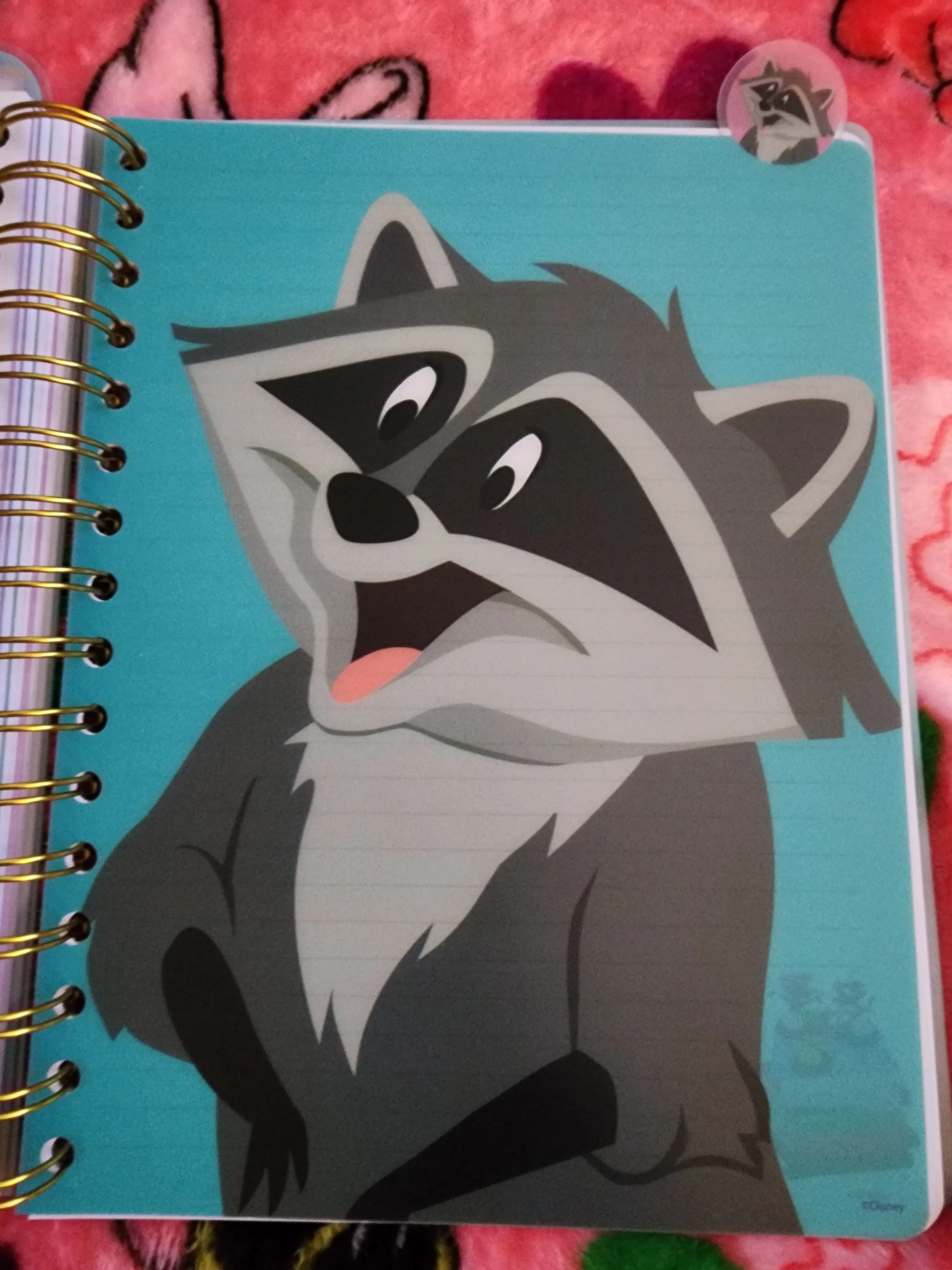 Disney Sidekicks Notebook