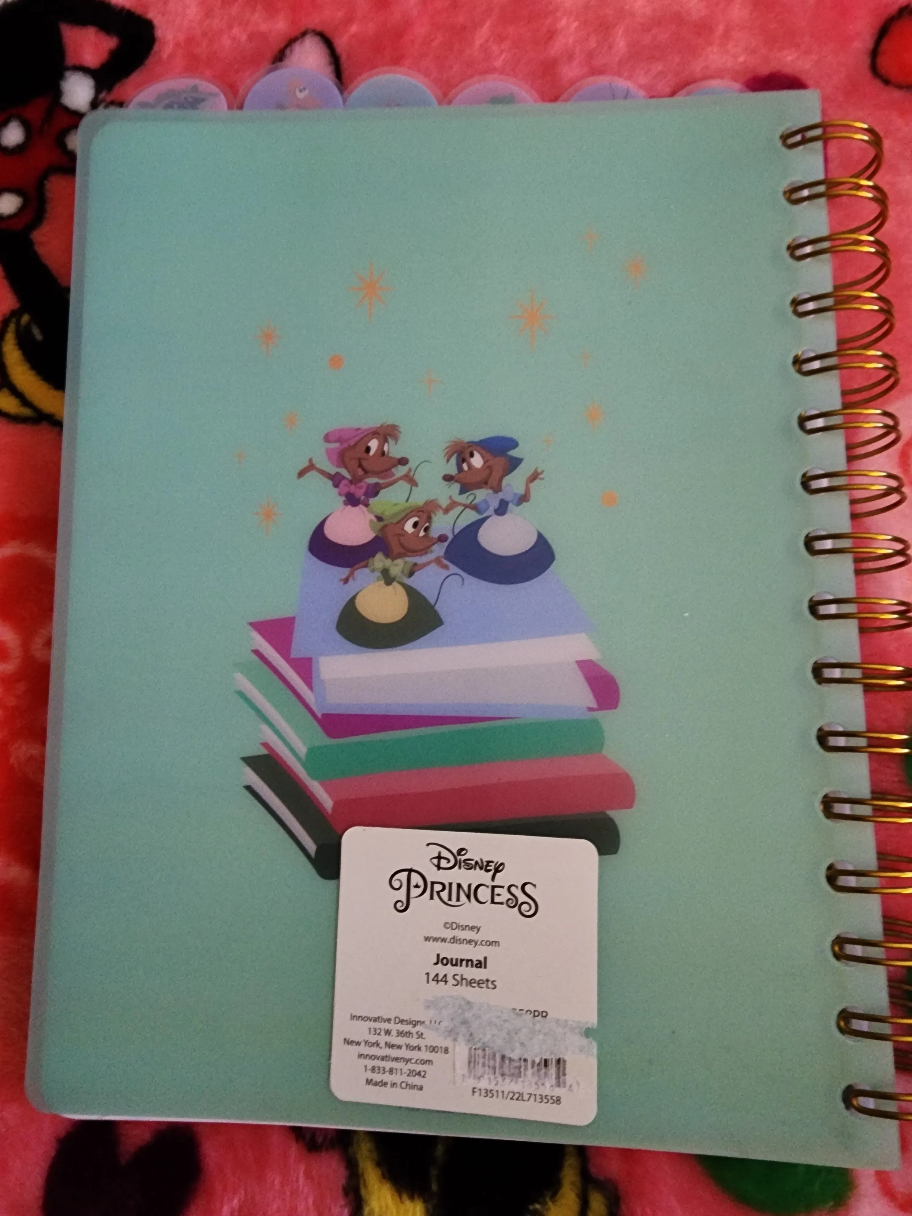 Disney Sidekicks Notebook