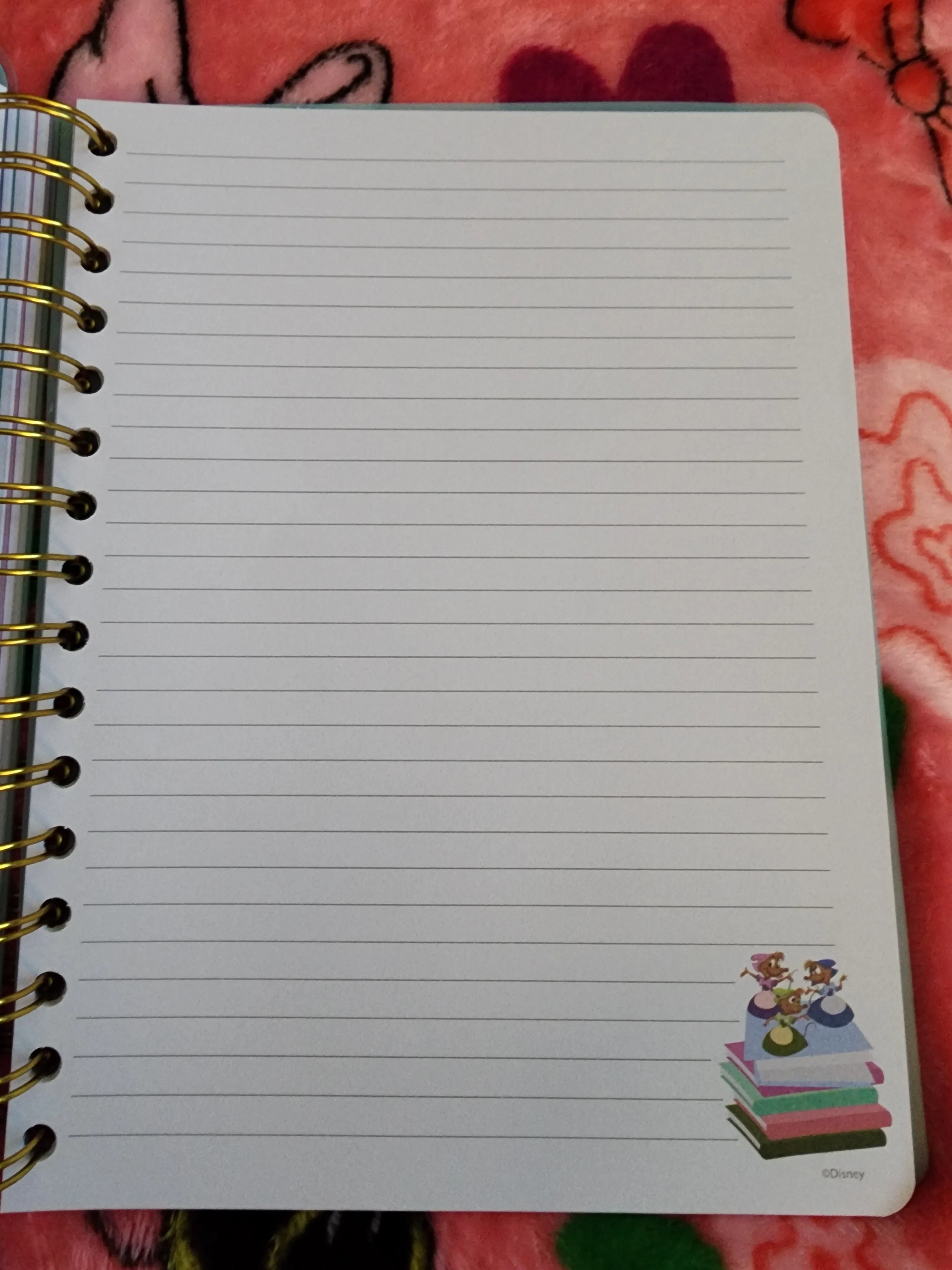 Disney Sidekicks Notebook