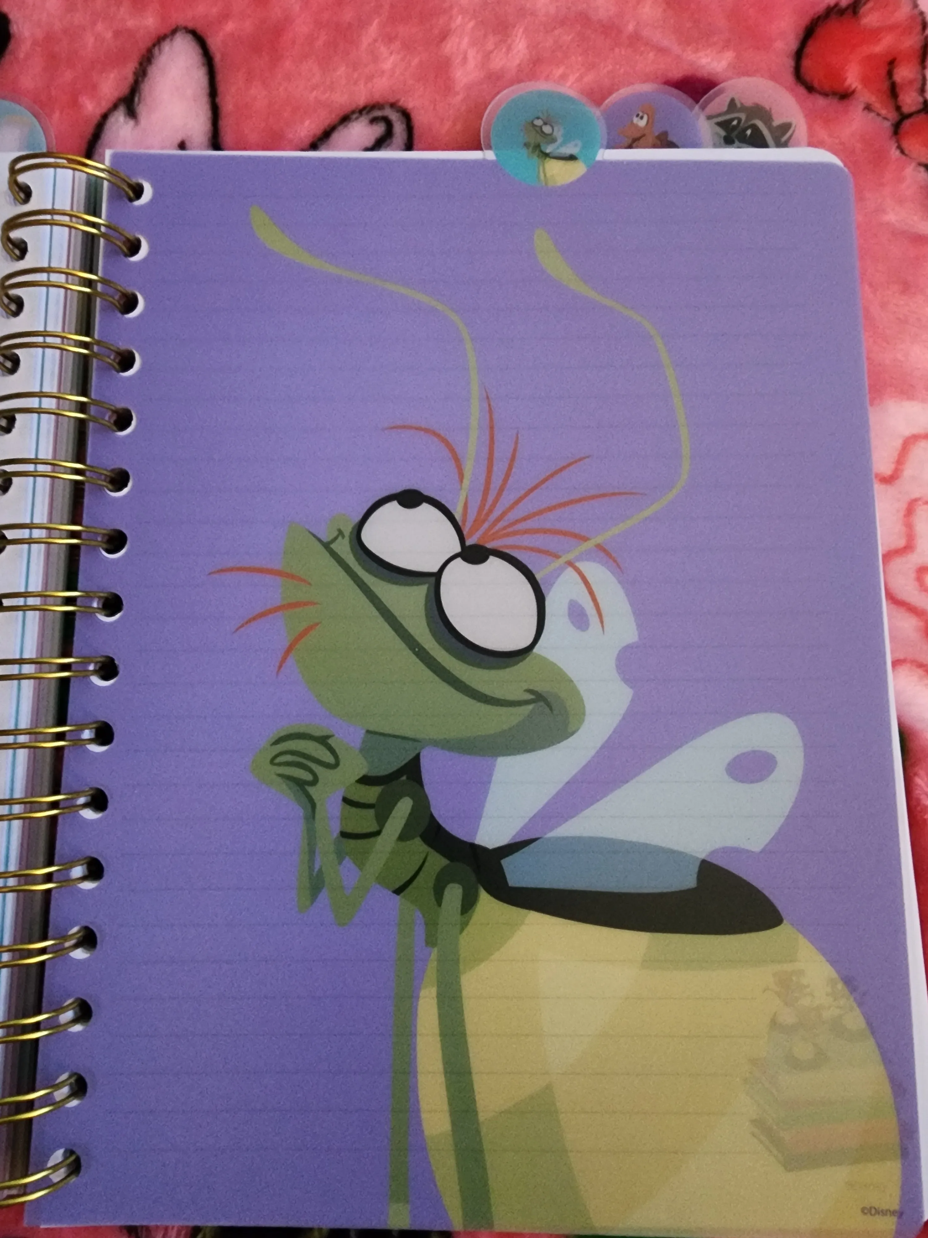 Disney Sidekicks Notebook