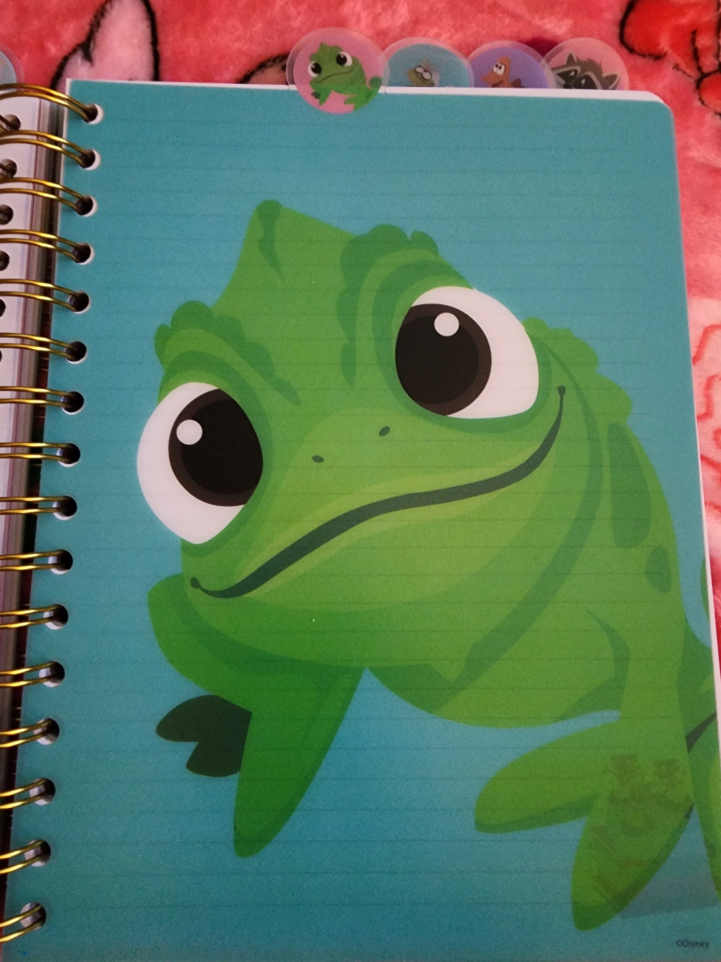 Disney Sidekicks Notebook