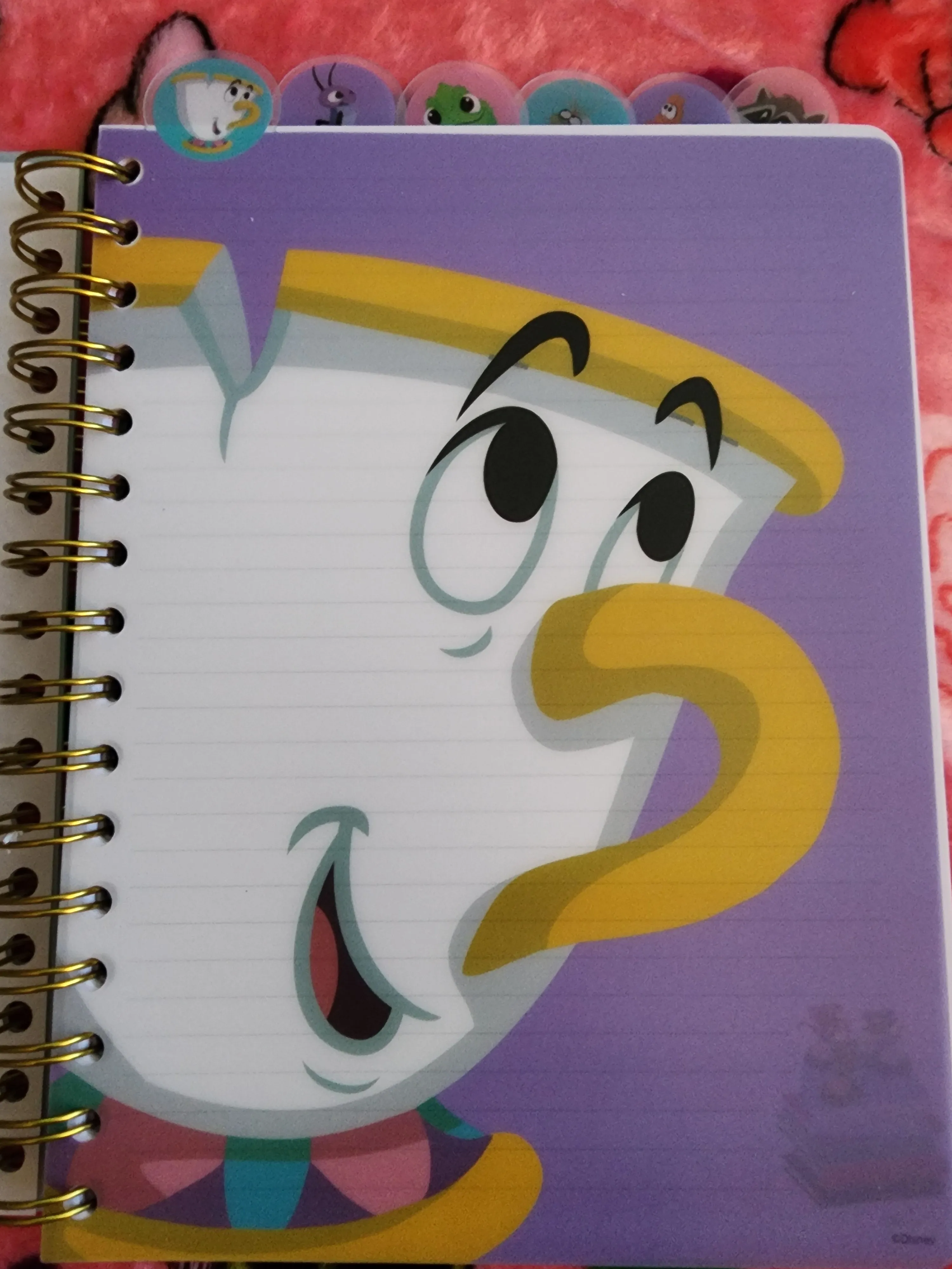 Disney Sidekicks Notebook