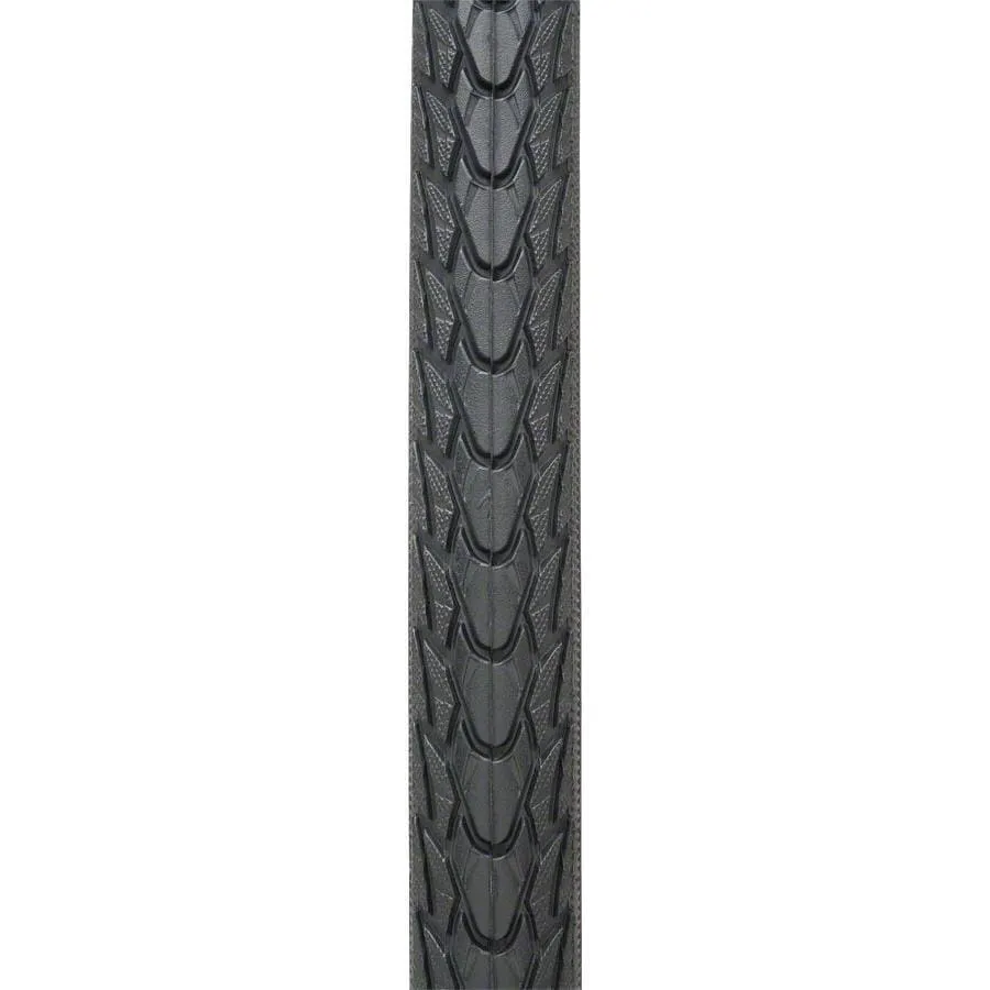 Marathon Plus Bike Tire - 700 x 25c