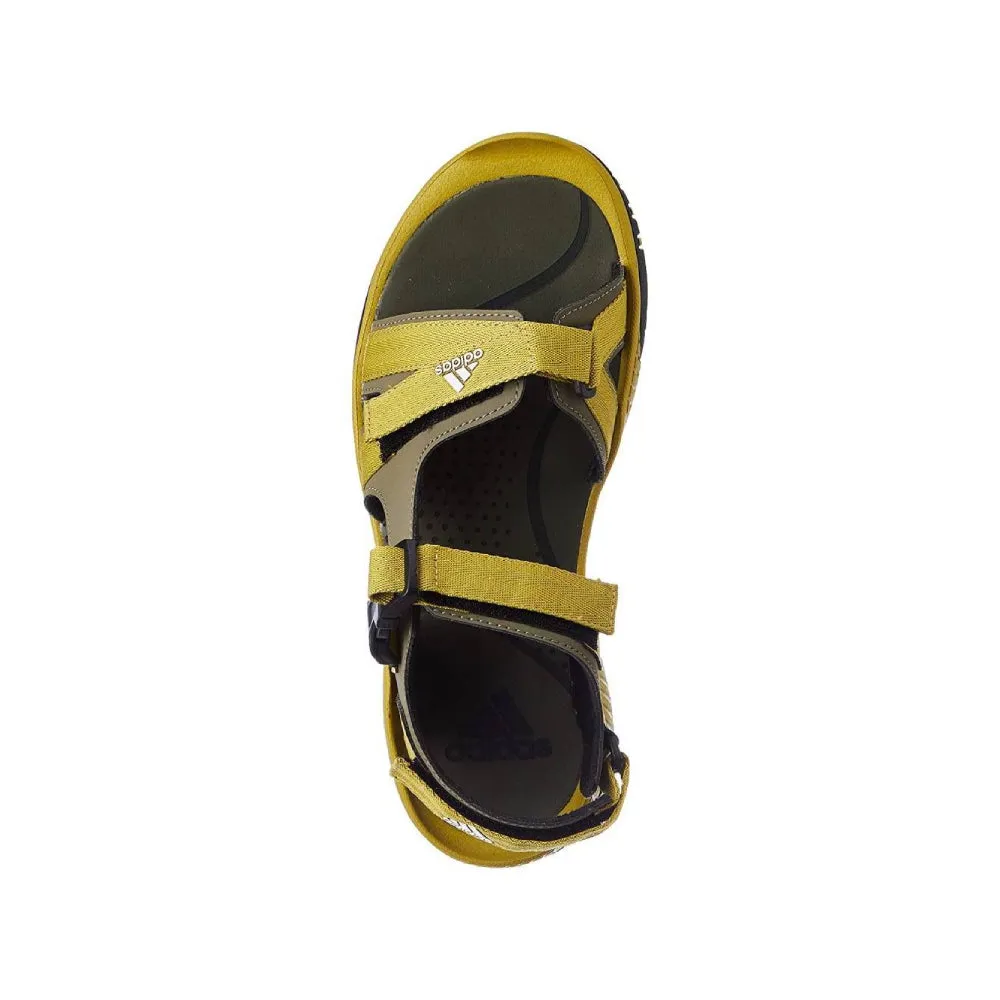 Men's Adisist Sandal (Pulse Olive/Olive Strata/Cloud White/Core Black)