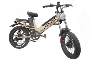 Olic Turbocharge Marathon Dual Motor Electric Bike