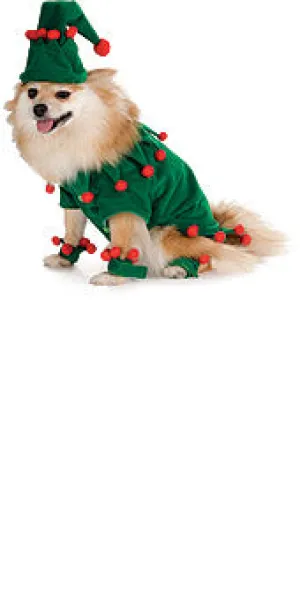 Pet Costumes - Elf