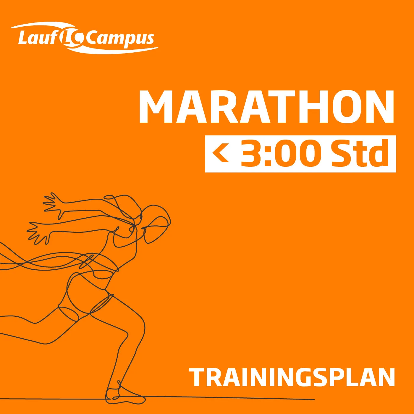 Trainingsplan Marathon unter 3:00 Stunden