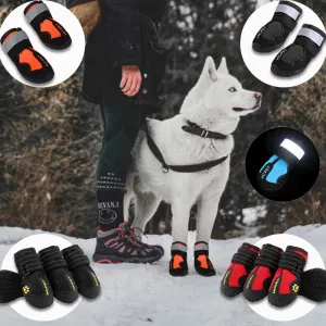 WeatherPaws™ – Protection for Every Paw, in Any Weather! 🐾☔❄️